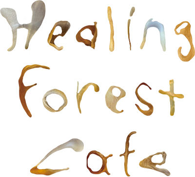ヒーリングフォレストカフェ（Healing forest cafe）